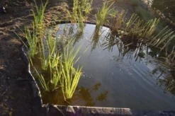 Ubbink Borderrand H 19 Cm X 15 M 9 Ubbink Borderrand H 19 Cm X 15 M -Buiten Gereedschaps Winkel 8711465301015 5