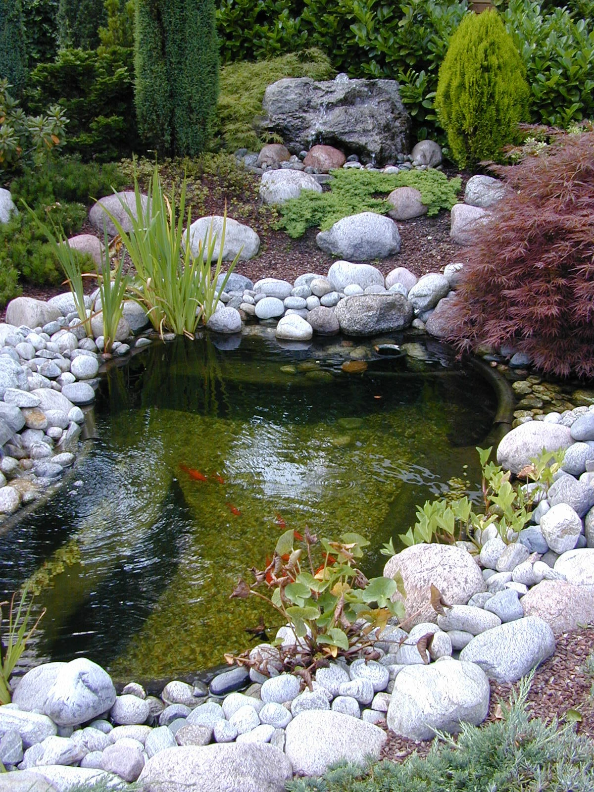 Ubbink Vijverbak Start 250 L 133 X 105 X 46 Cm 3 Ubbink Vijverbak Start 250 L 133 X 105 X 46 Cm - Afbeelding 3