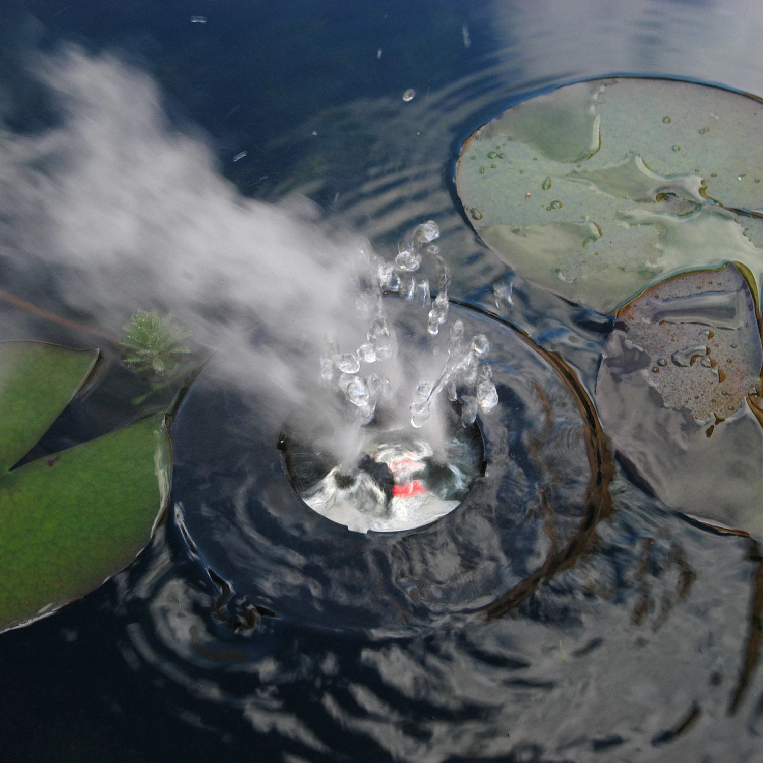 Ubbink Vernevelaar MystMaker III Outdoor D 15,7 H 7 Cm 3 Ubbink Vernevelaar MystMaker III Outdoor D 15,7 H 7 Cm - Afbeelding 3