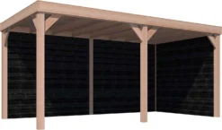 Overkapping Met Achterwand En Zijwand Zwart / Douglas 270 X 522 Cm