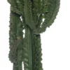 Cowboycactus (Euphorbia Ingens) D 30 H 140 Cm