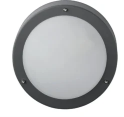 Intratuin Wandlamp Ymir Rond