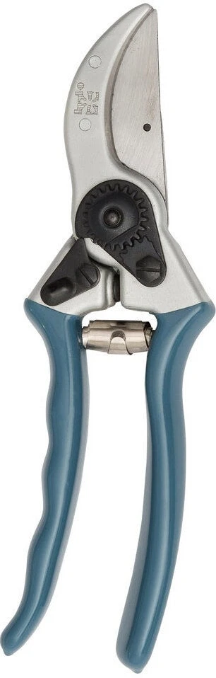 Intratuin Premium Snoeischaar Zilver/blauw 1 Intratuin Premium Snoeischaar Zilver/blauw