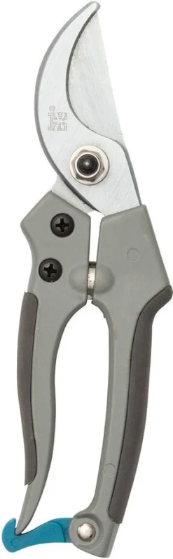 Intratuin Damessnoeischaar Grijs Zwart