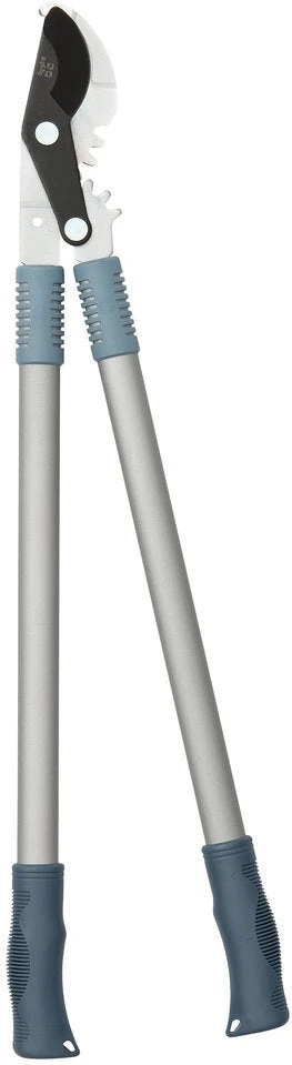 Intratuin Premium Takkenschaar Aluminium Blauw/zilver 1 Intratuin Premium Takkenschaar Aluminium Blauw/zilver