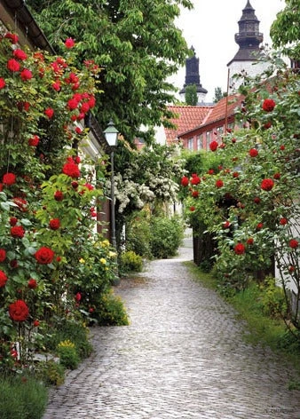 PB-Collection Schilderij Alley Roses Multi 70 X 130 X 2 Cm 1 PB-Collection Schilderij Alley Roses Multi 70 X 130 X 2 Cm