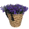 Intratuin Arrangement Lobelia In Mand D 24 H 25 Cm