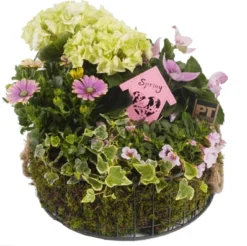 Intratuin Arrangement Zomerbloeiers In Draadmand D 30 H 30 Cm