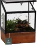 Intratuin Arrangement Kamerplant In Greenhouse Met LED D 19 H 28 Cm