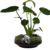 Intratuin Arrangement Glazen Schaal Met Monstera D 24 H 44 Cm